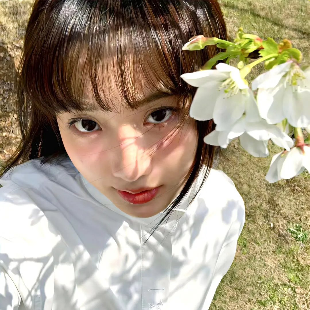 苏菲的供词